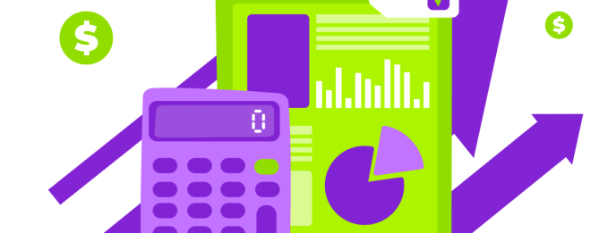 Potencialize a Contabilidade Gerencial da sua loja com ERP